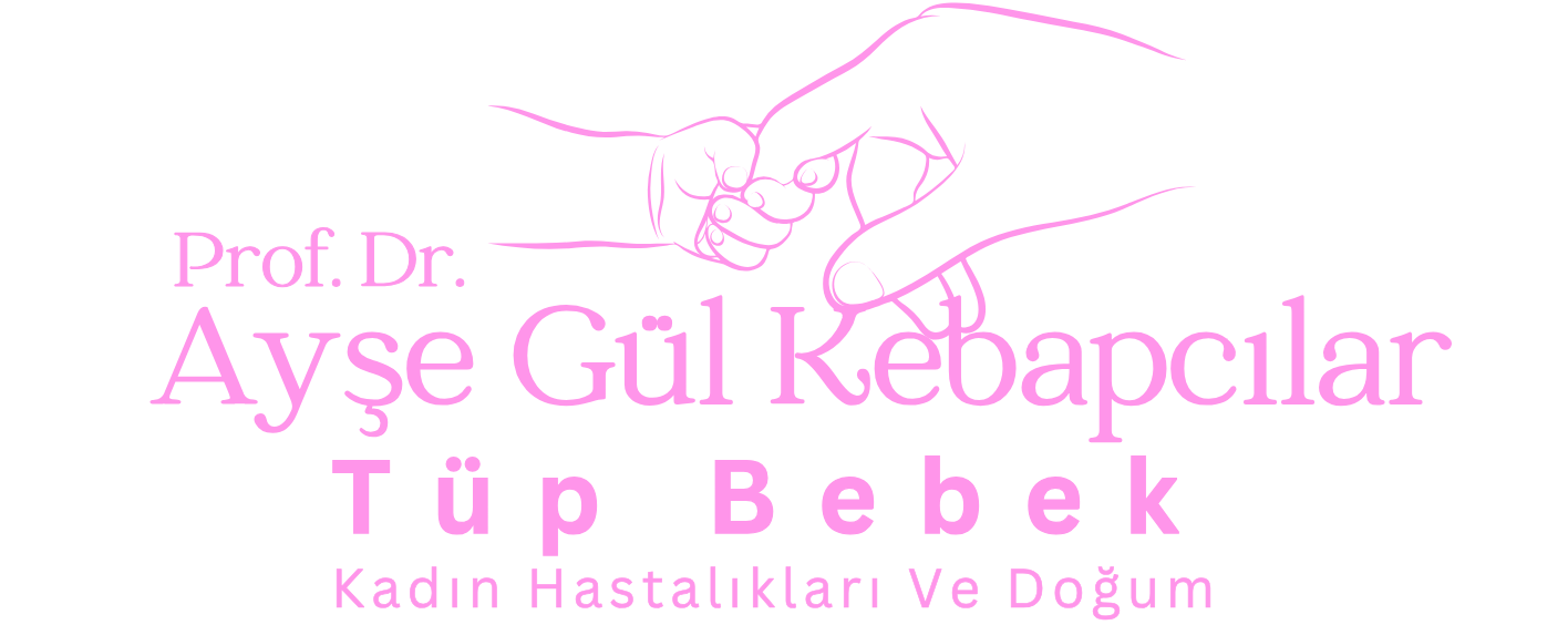 Prof. Dr. Ayşe Gül Kebapcılar